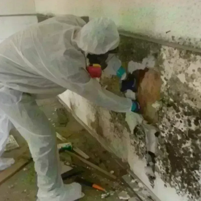 Mold Remediation and Removal in Vernon Center, NJ